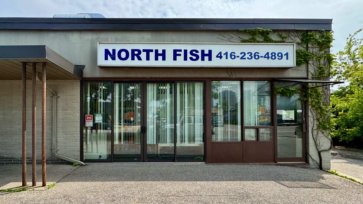 North Fish Company