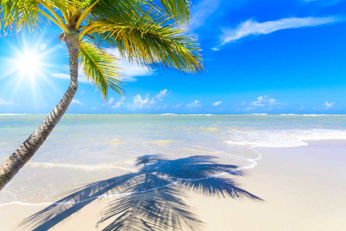 Куда уезжают Канадцы