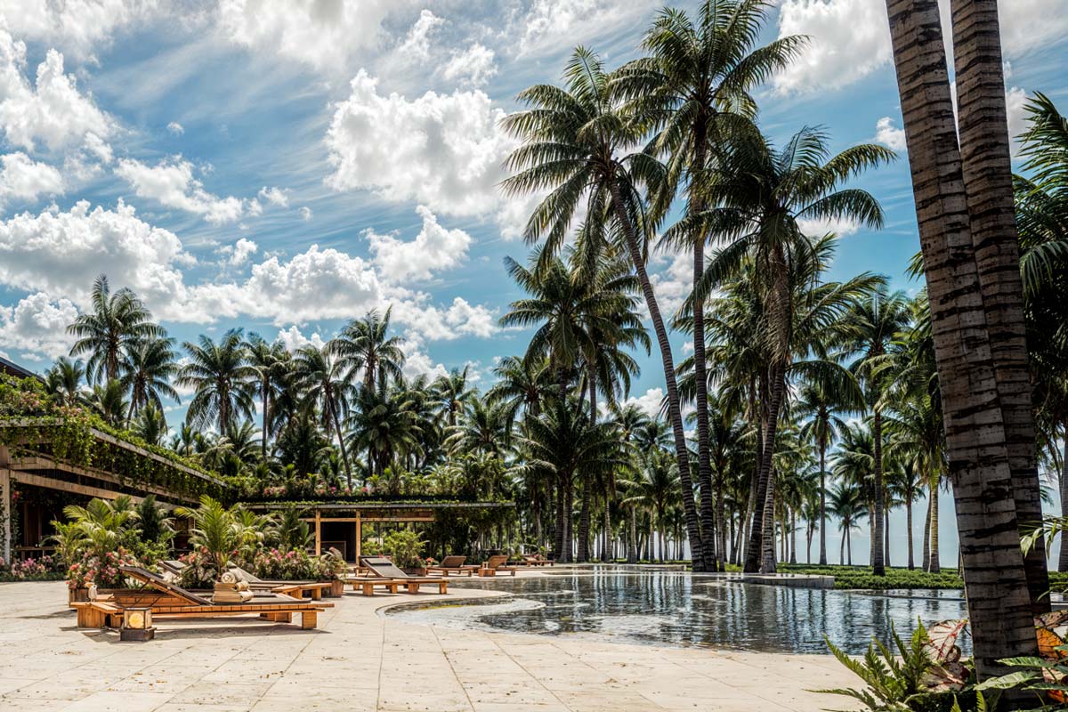 Самана на старте: окно возможностей