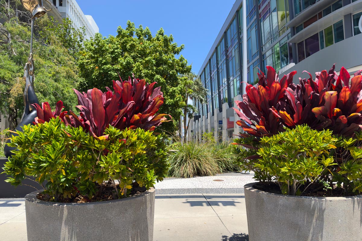 Lincoln Road: The street that refused to end